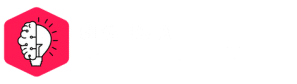 BIG IDEA Database