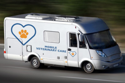 box truck business ideas -mobile vet service